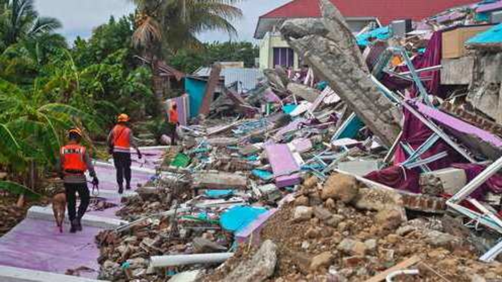 Indonesia Hunts For Survivors As Quake Death Toll Hits 60 | World News ...