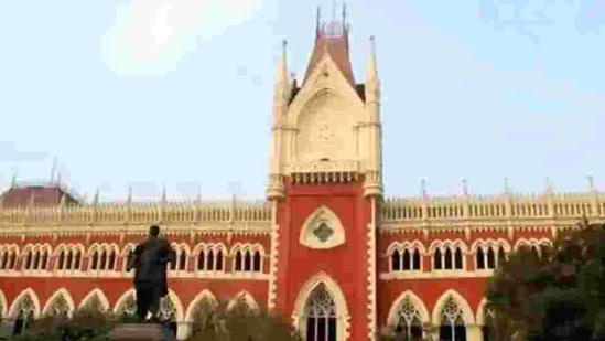 A Division Bench of Justices S K Mishra and Savitri Ratho on Friday while allowing a writ of Habeas Corpus gave the direction.(File photo) A Division Bench of Justices S K Mishra and Savitri Ratho on Friday while allowing a writ of Habeas Corpus gave the direction.(File photo)