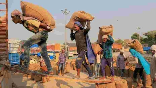 Labourers load sacks of newly harvested paddy crop on a truck purchased by procurement agencies.(Representative Photo/PTI) Labourers load sacks of newly harvested paddy crop on a truck purchased by procurement agencies.(Representative Photo/PTI)