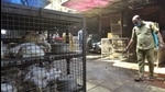 A BMC worker sanitises the area in front bird enclosures at Lokmanya Tilak BMC Market, Grant Road in Mumbai. (HT FILE PHOTO) A BMC worker sanitises the area in front bird enclosures at Lokmanya Tilak BMC Market, Grant Road in Mumbai. (HT FILE PHOTO)