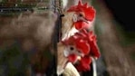 Cases of bird flu have been confirmed by many states. (PTI) Cases of bird flu have been confirmed by many states. (PTI)