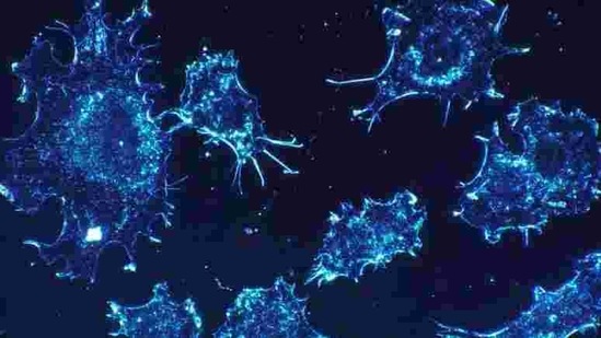 British scientists and politicians have expressed concern that vaccines currently being deployed or in development could be less effective against the South African variant. It has more than 20 mutations including several in the spike protein the virus uses to infect human cells. (Representative Image) (ANI) British scientists and politicians have expressed concern that vaccines currently being deployed or in development could be less effective against the South African variant. It has more than 20 mutations including several in the spike protein the virus uses to infect human cells. (Representative Image) (ANI)