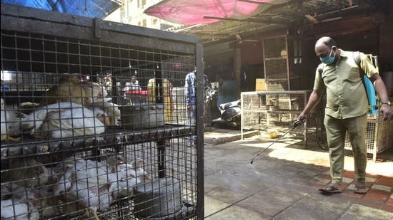 A BMC worker sanitises the area in front bird enclosures at Lokmanya Tilak BMC Market, Grant Road in Mumbai. (HT FILE PHOTO)