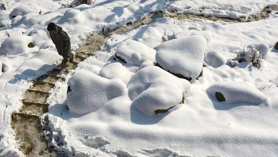 Kashmir has been in the grip of a severe cold wave this season.(HT FIEL PHOTO) Kashmir has been in the grip of a severe cold wave this season.(HT FIEL PHOTO)