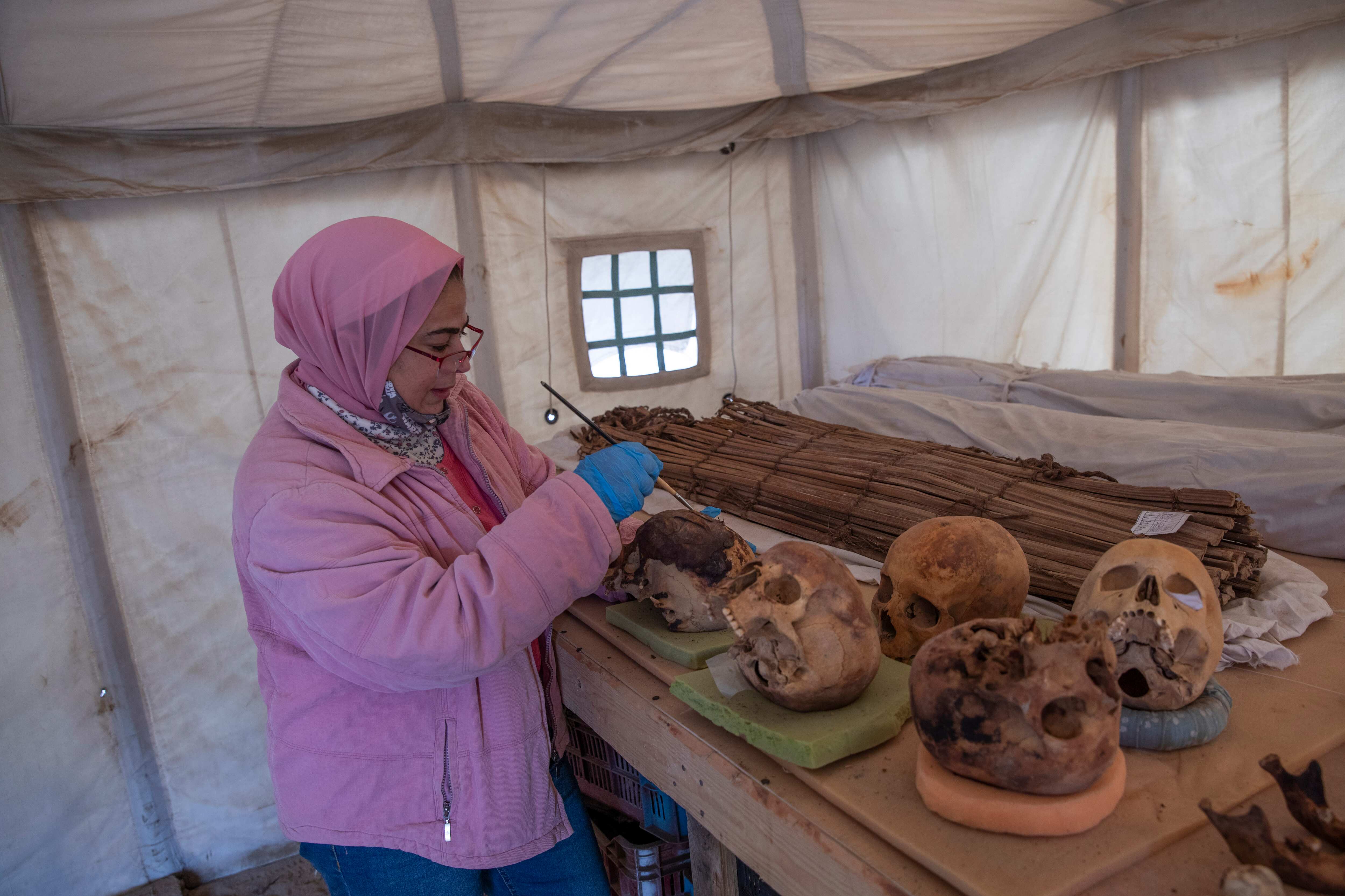 An archaeologist brushes ancient skulls for the media on display that Egyptian archaeologist Zahi Hawass and his team unearthed in a vast necropolis filled with burial shafts, coffins and mummies dating back to the New Kingdom 3000 BC, Sunday, Jan. 17, 2021, in Saqqara, south of Cairo, Egypt. (AP)