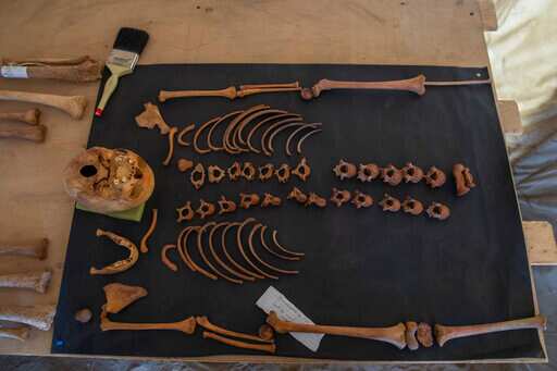 Ancient skull and bones are on display that Egyptian archaeologist Zahi Hawass and his team unearthed in a vast necropolis filled with burial shafts, coffins and mummies dating back to the New Kingdom 3000 BC, Sunday, Jan. 17, 2021, in Saqqara, south of Cairo, Egypt. (AP)