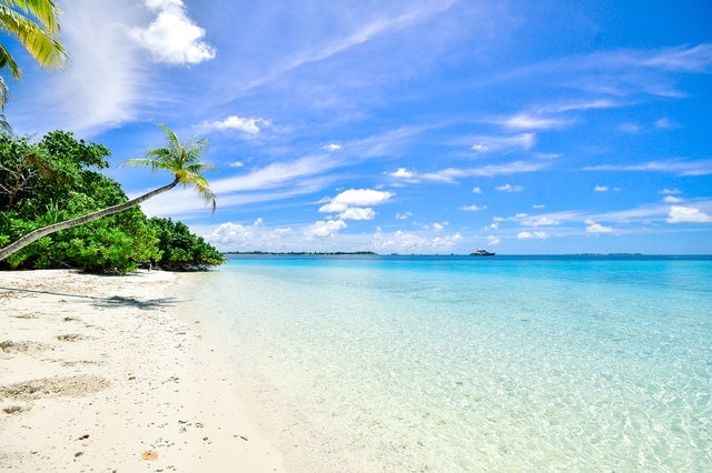 Representative image of a beach(Pexels)