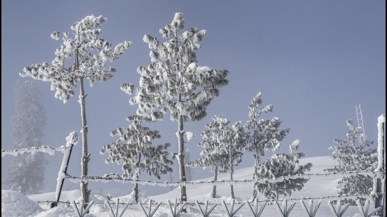 The weather office said that the coldest place in the valley on the intervening night of Monday and Tuesday was Qazigund in south Kashmir where the mercury plunged to -8.6 degrees Celsius, around 5 notches below normal. (AP) The weather office said that the coldest place in the valley on the intervening night of Monday and Tuesday was Qazigund in south Kashmir where the mercury plunged to -8.6 degrees Celsius, around 5 notches below normal. (AP)