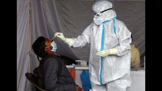 A health worker collecting samples for testing. Haryana reported 1,354 cases from January 11 to 17 as compared to 1,887 cases the week before. (HT file photo) A health worker collecting samples for testing. Haryana reported 1,354 cases from January 11 to 17 as compared to 1,887 cases the week before. (HT file photo)