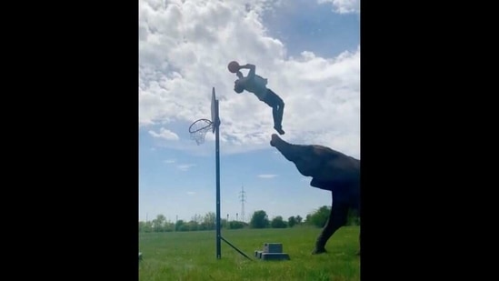 The image shows René Casselly performing a stunt with his elephant.(Instagram/@rene_casselly) The image shows René Casselly performing a stunt with his elephant.(Instagram/@rene_casselly)