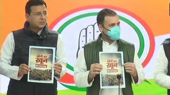 Congress leader Rahul Gandhi.(ANI) Congress leader Rahul Gandhi.(ANI)