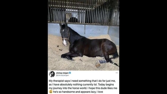 On Saturday, Teigen told her Twitter followers she was trying a new activity at the suggestion of her therapist.(Twitter/@chrissyteigen) On Saturday, Teigen told her Twitter followers she was trying a new activity at the suggestion of her therapist.(Twitter/@chrissyteigen)