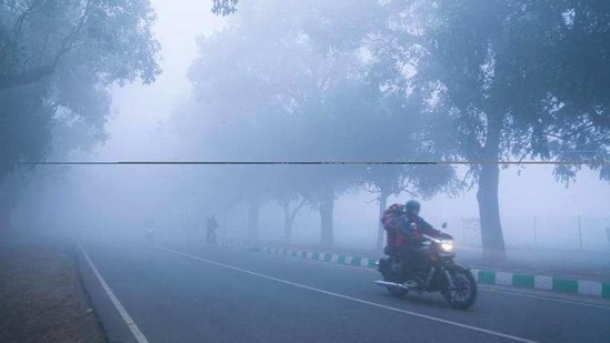 A motorcycle cuts through the dense fog near Pusa Campus in New Delhi on Tuesday.(Sanchit Khanna/HT PHOTO)