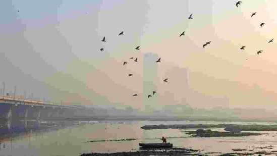 A boatman wades through toxic foam floating on the river Yamuna at Kalindi Kunj in New Delhi ((Manvender Vashist/PTI)) A boatman wades through toxic foam floating on the river Yamuna at Kalindi Kunj in New Delhi ((Manvender Vashist/PTI))