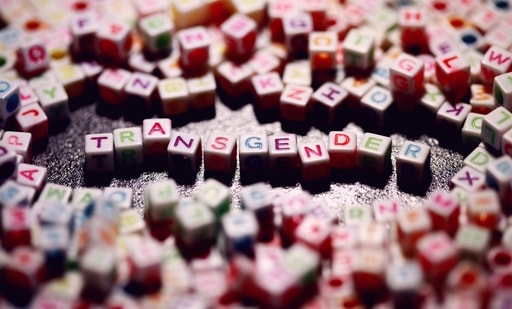 Kerala is the first State in India which declared a Transgender Policy after the landmark judgment of the Supreme Court in 2014. (Unsplash) Kerala is the first State in India which declared a Transgender Policy after the landmark judgment of the Supreme Court in 2014. (Unsplash)