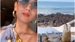 Mira Rajput is holidaying in Goa. Mira Rajput is holidaying in Goa.