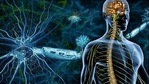 Representational image(WebMD) Representational image(WebMD)