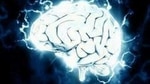 A KAIST team's mathematical modelling has revealed that efficient brain circuitry develops spontaneously by showing that the topographic tiling of cortical maps originates from bottom-up projections from the periphery.(ANI) A KAIST team's mathematical modelling has revealed that efficient brain circuitry develops spontaneously by showing that the topographic tiling of cortical maps originates from bottom-up projections from the periphery.(ANI)