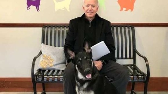 Former U.S. Vice President Joe Biden poses with his new rescue dog Major while adopting it from the Delaware Humane Association in Wilmington, Delaware, U.S. November 16, 2018. Picture taken November 16, 2018. (via REUTERS)