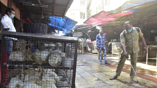 BMC workers sanitise the area in front of bird enclosure at Lokmanya Tilak BMC Market , in Mumbai on January 14. (Anshuman Poyrekar/HT file)