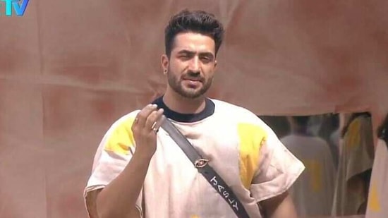 Aly Goni gets into a fight with Abhinav Shukla after Rubina and Rahul fight. (Colors)