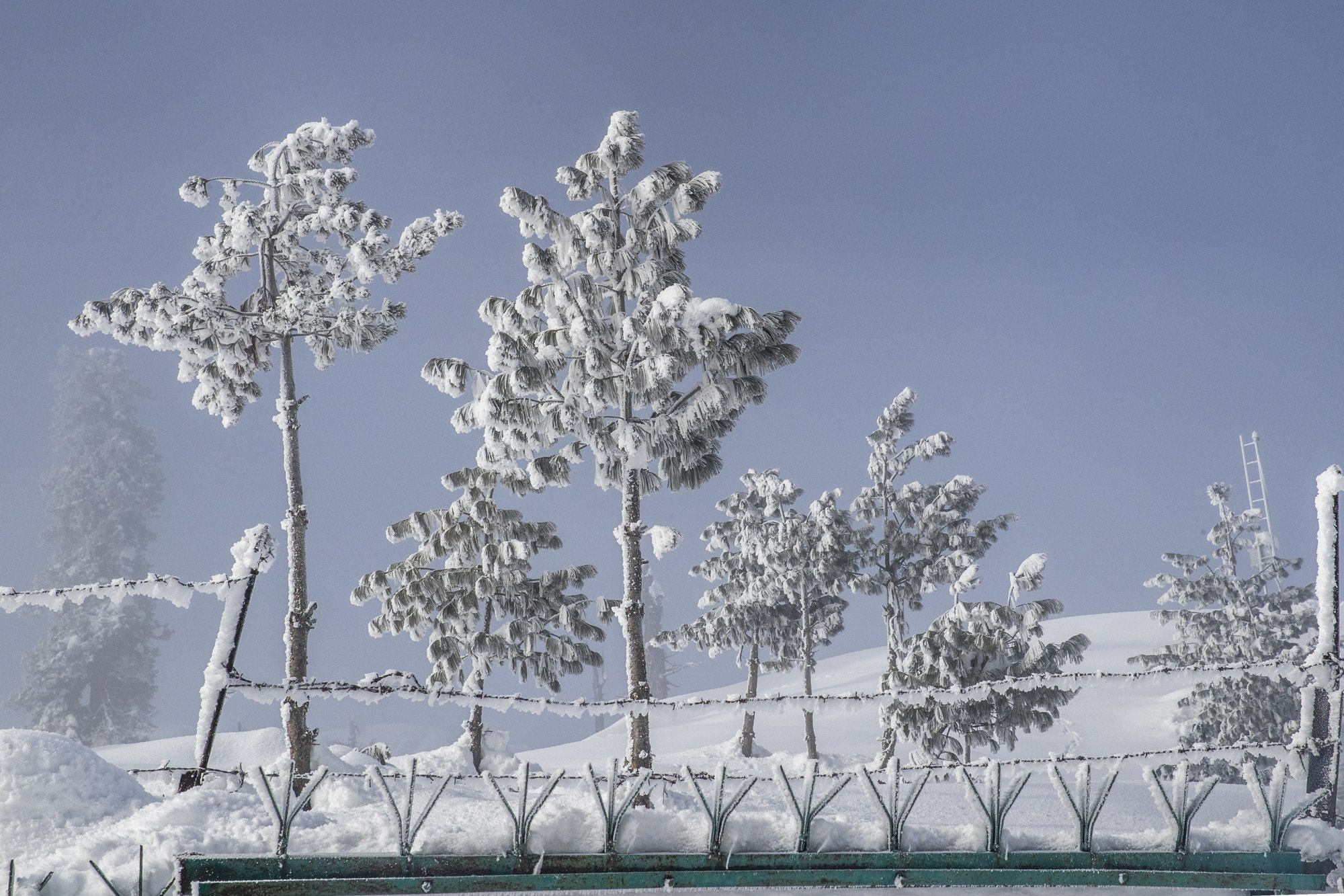 Snow covered Kashmir(AP) Snow covered Kashmir(AP)