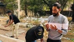 Indian bowler Mohammed Siraj praying at his late father Mohammed Ghaus's grave(ANI/Twitter) Indian bowler Mohammed Siraj praying at his late father Mohammed Ghaus's grave(ANI/Twitter)