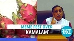 meme fest over Dragon Fruit renaming meme fest over Dragon Fruit renaming