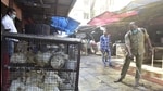 BMC workers sanitise the area in front of bird enclosure at Lokmanya Tilak BMC Market , in Mumbai on January 14. (HT FILE) BMC workers sanitise the area in front of bird enclosure at Lokmanya Tilak BMC Market , in Mumbai on January 14. (HT FILE)