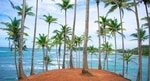 The resumption of tourism follows a pilot project that began December 26 in which 1,500 tourists from Ukraine visited Sri Lanka in such a travel bubble.(Unsplash) The resumption of tourism follows a pilot project that began December 26 in which 1,500 tourists from Ukraine visited Sri Lanka in such a travel bubble.(Unsplash)