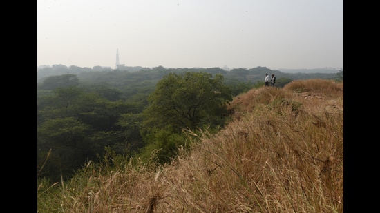 A view of the Sanjay Van forest reserve, in New Delhi, that is part of the south central area of the greater Delhi Ridge. (Sanchit Khanna/HT PHOTO) A view of the Sanjay Van forest reserve, in New Delhi, that is part of the south central area of the greater Delhi Ridge. (Sanchit Khanna/HT PHOTO)