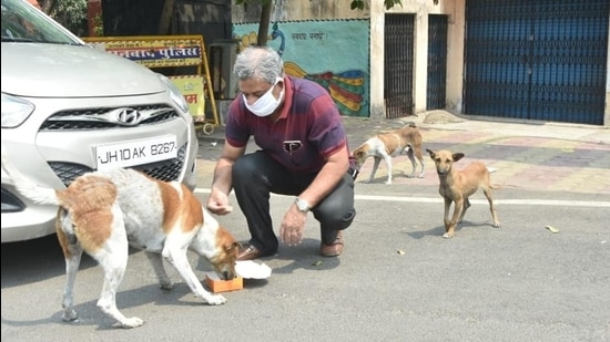 Bagchi doesn’t like the terms stray dogs or street dogs. Dogs living within localites are community dogs, he says.