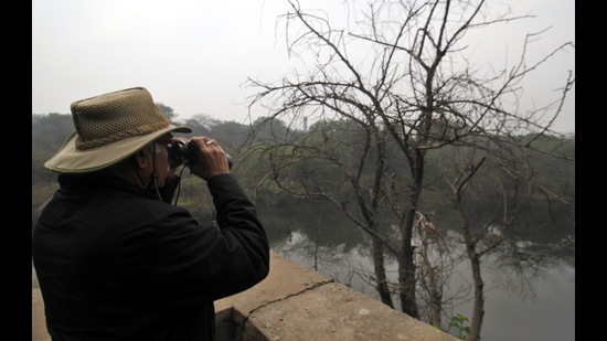 Experts suggest new birdwatchers to get a good pair of binoculars and get familiar with bird calls (Photo: Sanchit Khanna/HT) Experts suggest new birdwatchers to get a good pair of binoculars and get familiar with bird calls (Photo: Sanchit Khanna/HT)