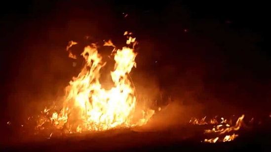 At least 7 people were killed and several injured when a fire broke out at a private hospital in Egypt(PTI representational image) At least 7 people were killed and several injured when a fire broke out at a private hospital in Egypt(PTI representational image)