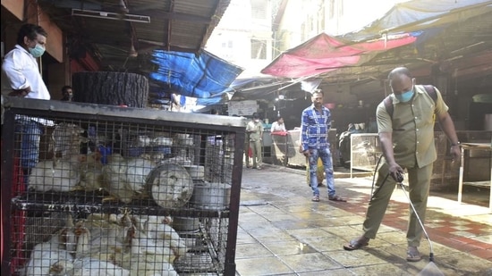 BMC workers sanitise the area in front of bird enclosure at Lokmanya Tilak BMC Market , in Mumbai on January 14. (HT FILE) BMC workers sanitise the area in front of bird enclosure at Lokmanya Tilak BMC Market , in Mumbai on January 14. (HT FILE)