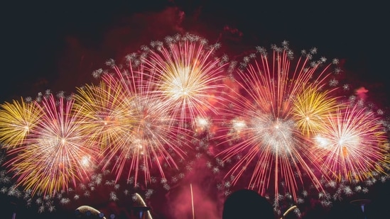 Authorities are asking people to stay home during the Lunar New Year holidays in February as part of the efforts to prevent another debilitating outbreak.(Unsplash) Authorities are asking people to stay home during the Lunar New Year holidays in February as part of the efforts to prevent another debilitating outbreak.(Unsplash)