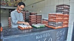 Prices of eggs have come down, hitting poultry sales in Thane district due to bird flu. (Praful Gangurde/HT photo) Prices of eggs have come down, hitting poultry sales in Thane district due to bird flu. (Praful Gangurde/HT photo)