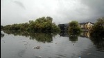In September 18, 2018, the HC had reiterated its previous directions to declare mangrove areas as forests and transfer them to the forest department. (Hindustan Times) In September 18, 2018, the HC had reiterated its previous directions to declare mangrove areas as forests and transfer them to the forest department. (Hindustan Times)
