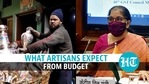 Budget 2021: Moradabad brass, handicraft industries expect supportive measures Budget 2021: Moradabad brass, handicraft industries expect supportive measures