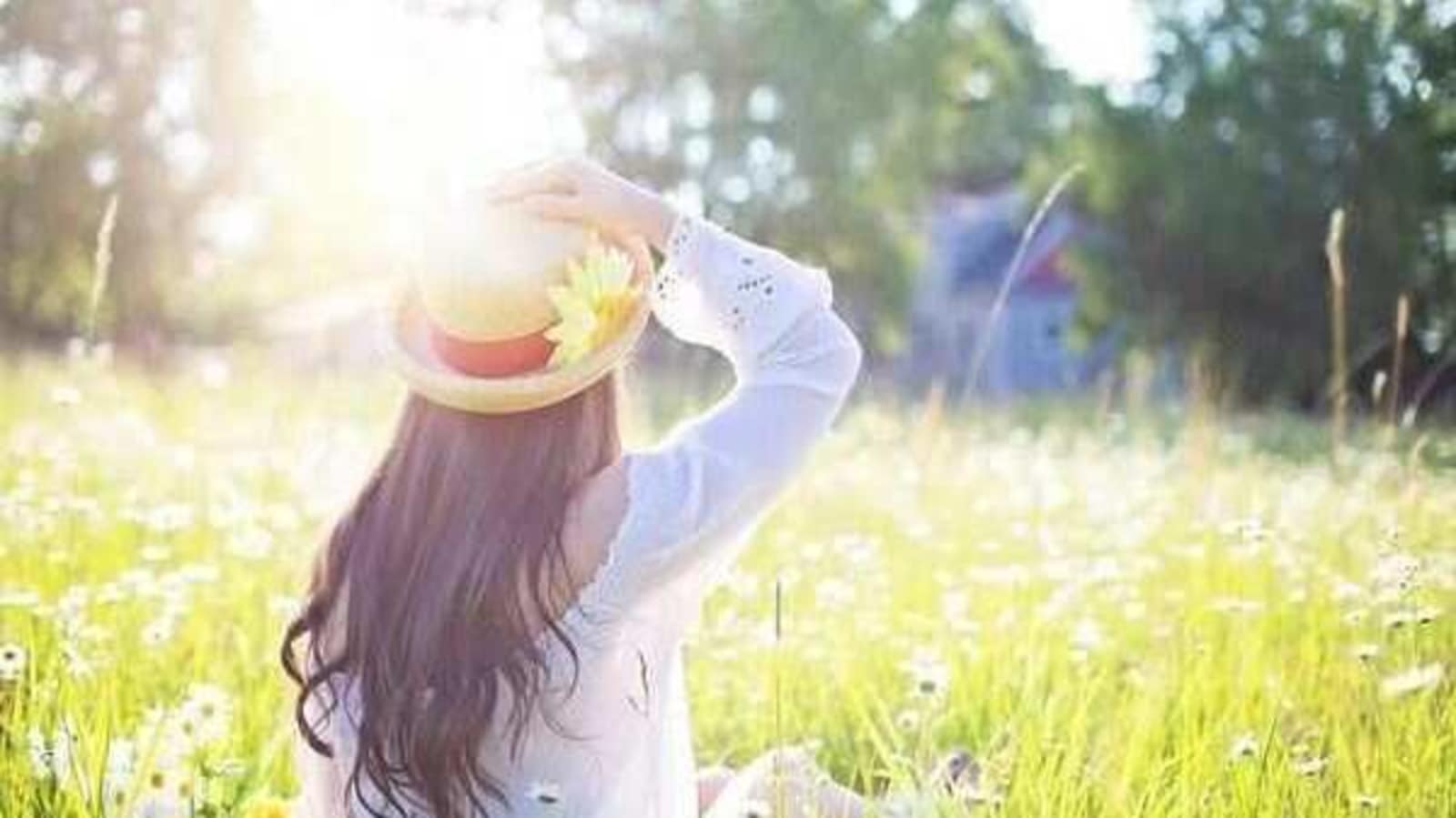 New insights into link between sunlight exposure and kidney damage