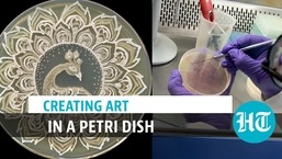 Award-winning art in a petri dish