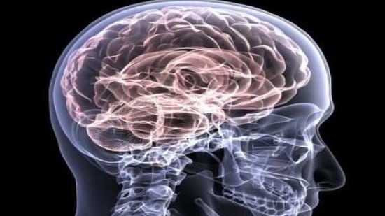 A new study has found out that Transcranial Direct Current Stimulation (tDCS), which is a non-invasive way of stimulating the brain over the Wernicke's area, may lead to new assistive neurotechnologies for the rehabilitation of people with cognitive disorders in future.(ANI) A new study has found out that Transcranial Direct Current Stimulation (tDCS), which is a non-invasive way of stimulating the brain over the Wernicke's area, may lead to new assistive neurotechnologies for the rehabilitation of people with cognitive disorders in future.(ANI)