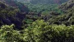 “We also explained to them that these are tiger habitats, thick forests and biodiversity hotspots and that they should be preserved and cared for. We are opposed to all the three projects because it will be damaging to the ecosystem,” Kerkar said.(Manoj Kumar/HT Photo. Representative image) “We also explained to them that these are tiger habitats, thick forests and biodiversity hotspots and that they should be preserved and cared for. We are opposed to all the three projects because it will be damaging to the ecosystem,” Kerkar said.(Manoj Kumar/HT Photo. Representative image)