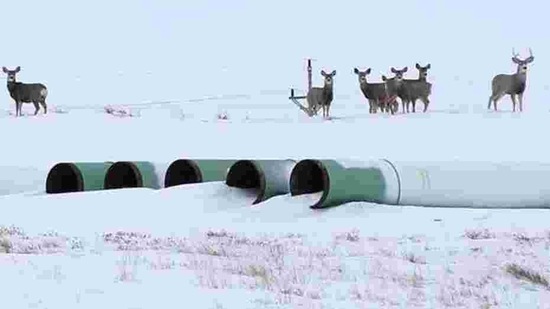 US President Joe Biden revoked permits for the oil pipeline on his first day in office US President Joe Biden revoked permits for the oil pipeline on his first day in office