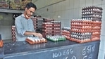 A shopkeeper arranges eggs in a tray in Thane district in this file photo. (Praful Gangurde/HT Photo) A shopkeeper arranges eggs in a tray in Thane district in this file photo. (Praful Gangurde/HT Photo)