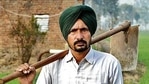 Farmer Gurdhian Singh in his wheat field in Patiala. (Bharat Bhushan/Ht photo) Farmer Gurdhian Singh in his wheat field in Patiala. (Bharat Bhushan/Ht photo)