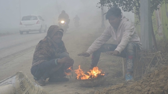 Photos: Cold wave conditions likely to return over North India ...