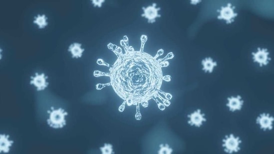 People who recover from Covid-19 are protected against the novel coronavirus for at least six months, and likely much longer, according to a study which says the immune system evolves long after the infection and may block even mutant forms of the virus such as the South African variant.(Yahoo) People who recover from Covid-19 are protected against the novel coronavirus for at least six months, and likely much longer, according to a study which says the immune system evolves long after the infection and may block even mutant forms of the virus such as the South African variant.(Yahoo)