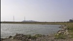 Bhendkhal wetland in Uran in Navi Mumbai. (File photo) Bhendkhal wetland in Uran in Navi Mumbai. (File photo)