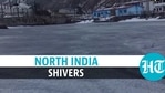 North India shivers North India shivers